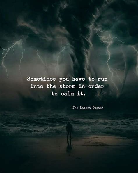 funny storm quotes sayings